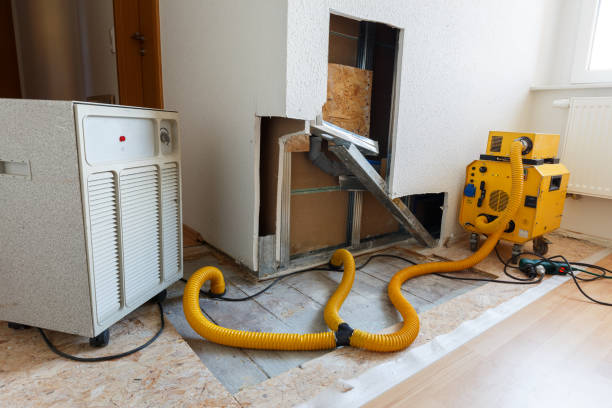 Best Emergency Mold Remediation  in Tucumcari, NM