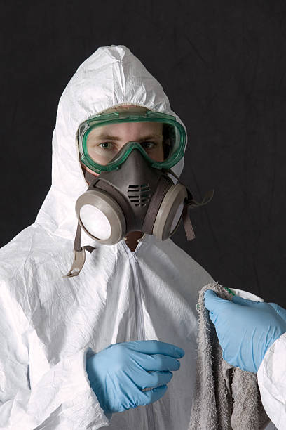 Best Attic Mold Removal  in Tucumcari, NM